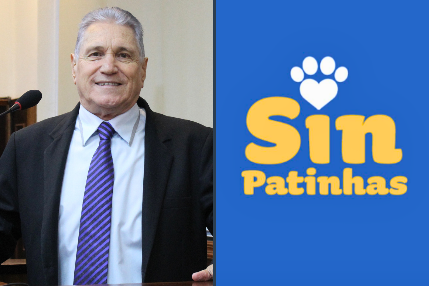 Vereador Nelsinho Luiz solicita ao Executivo Municipal adesão ao programa federal SinPatinhas