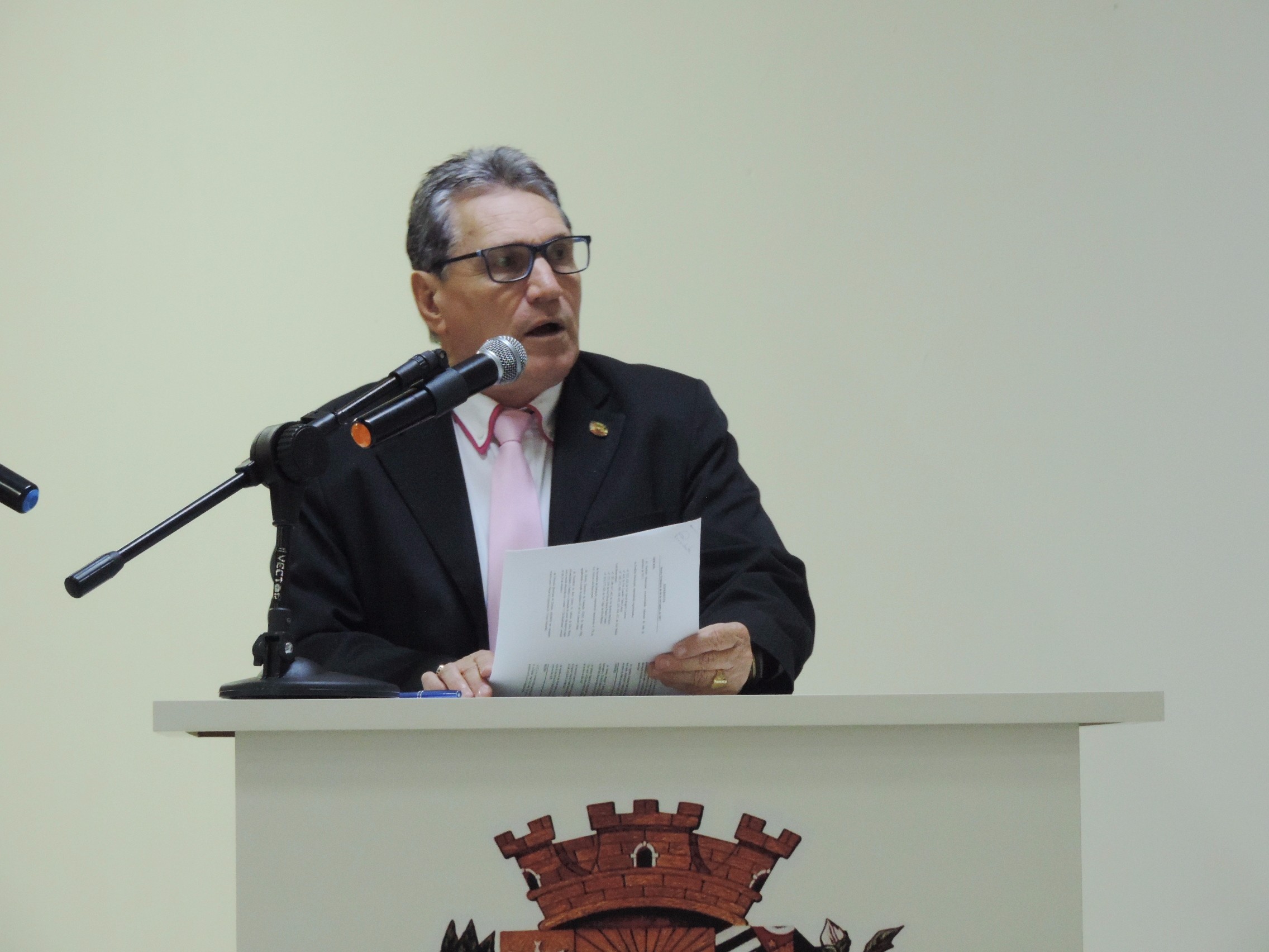 Vereador Nelsinho Luiz solicita ao Executivo providências com relação a galhos e água empoçada em via do Centro