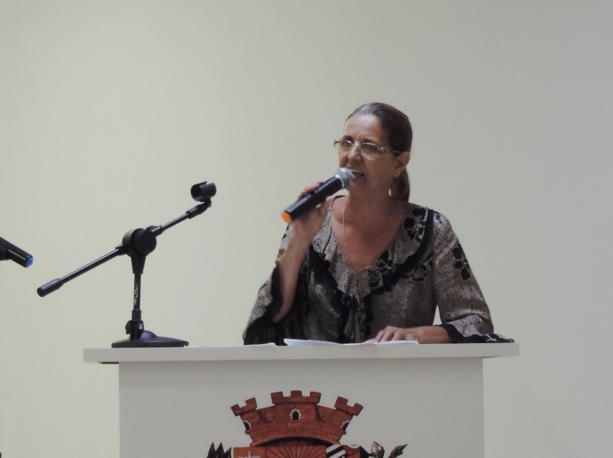 Vereadora Sônia Canato solicita ao Executivo manutenção de ponte sobre o Córrego da Estiva na Avenida Domingos Baraldo