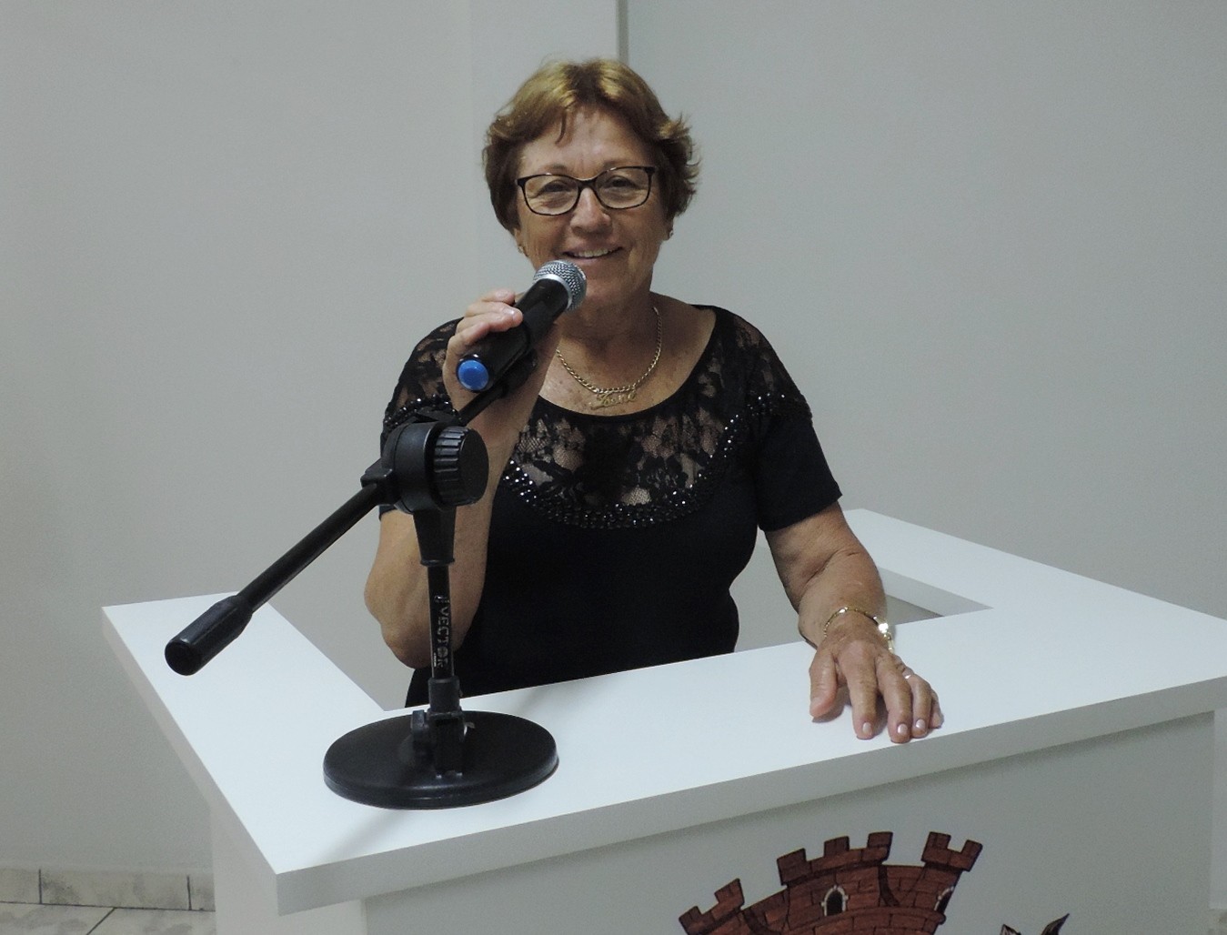 Legislativo aprova em primeira votação denominação de rua do Residencial Santa Terezinha como "Herculino Tonsig"