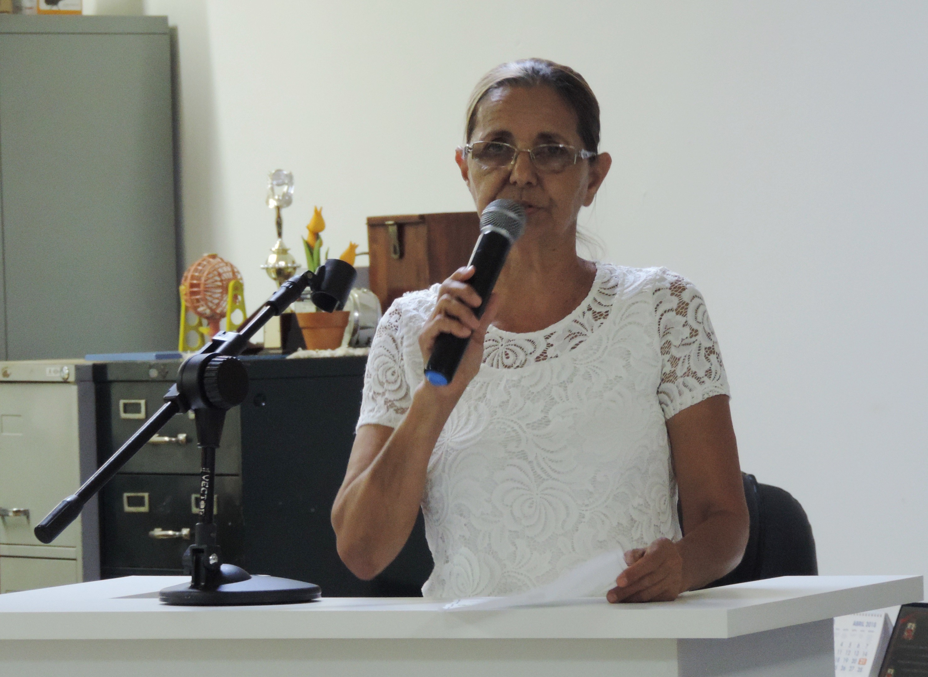 Vereadora Sônia Canato solicita ao Executivo instalação de redutor de velocidade em via do Residencial Vale do Sol