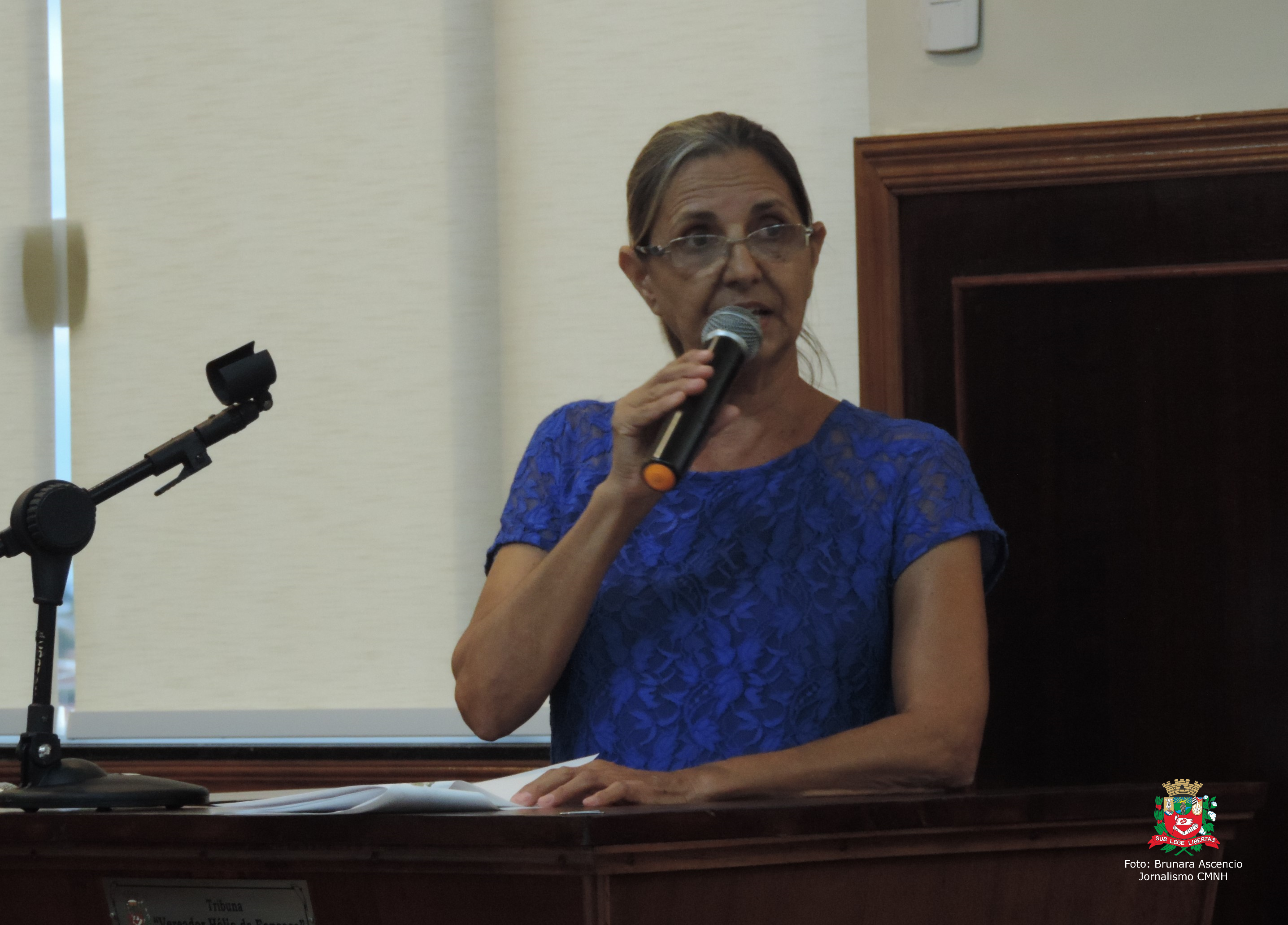 Vereadora Sônia Canato solicita ao Executivo Municipal reparo de ponte localizada na estrada que dá acesso ao bairro rural Dois Córregos