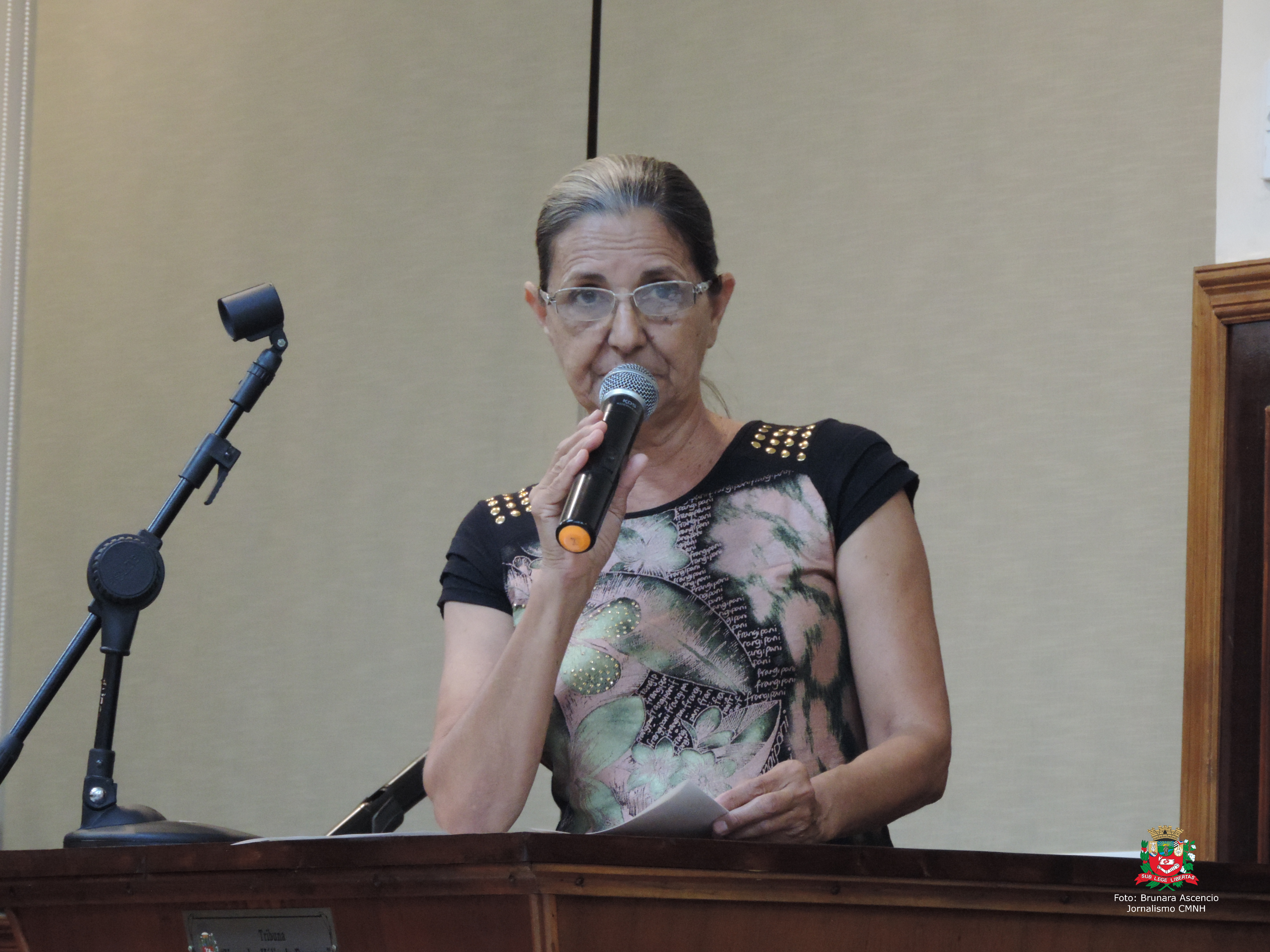 Vereadora Sônia Canato solicita ao Executivo Municipal serviço de tapa-buracos em trechos das Avenidas Luiz Baraldo e da Saudade