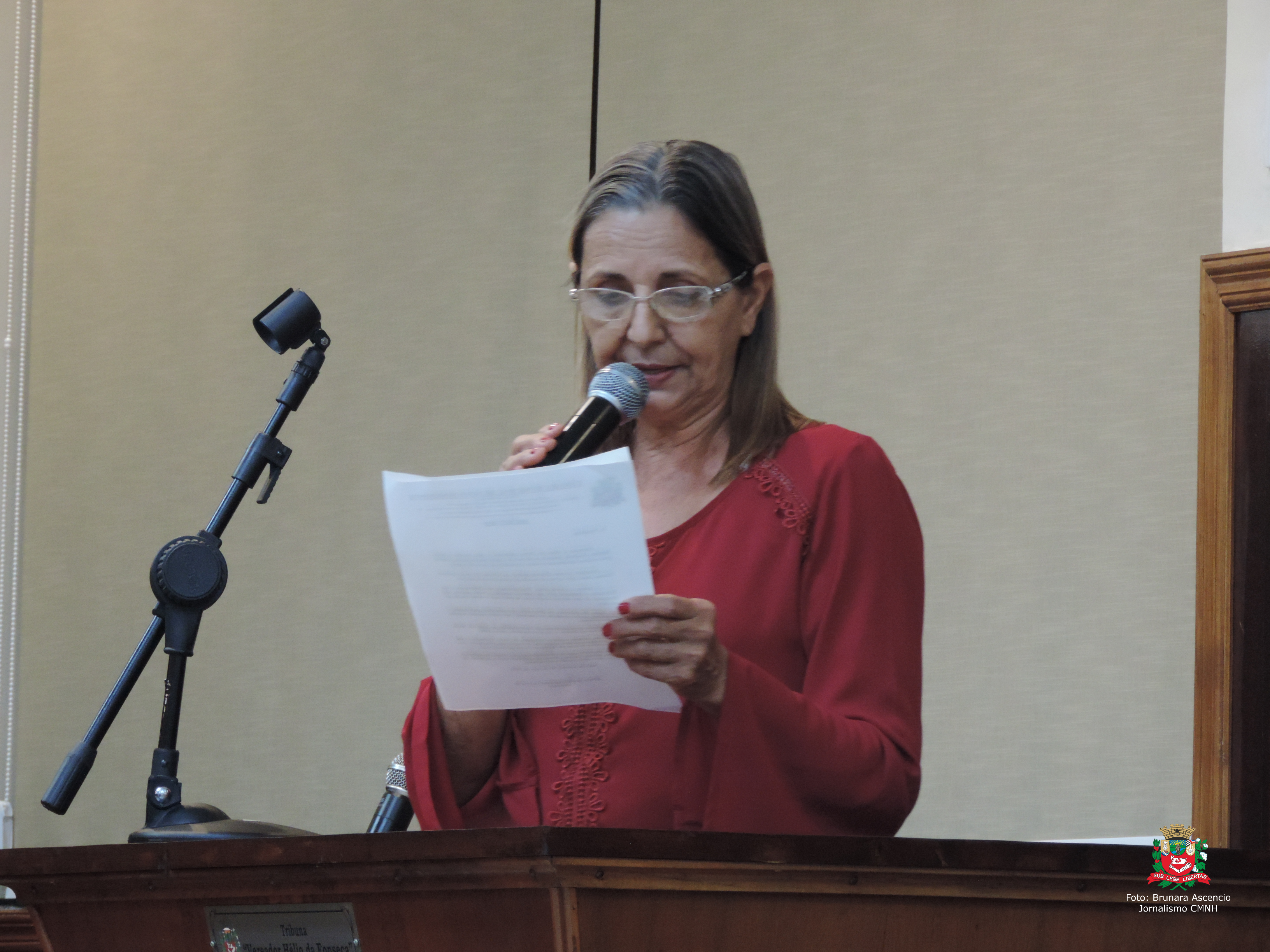 Vereadora Sônia Canato solicita ao Executivo Municipal possibilidade de refazer passagens de água pluvial no Jardim São Vicente de Paulo e Itapuã