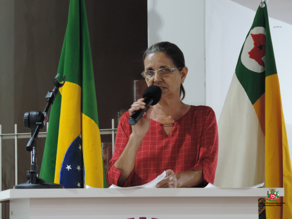 Vereadora Sônia Canato solicita ao Executivo Municipal reparo em bueiros localizados na Avenida José Willibaldo de Freitas