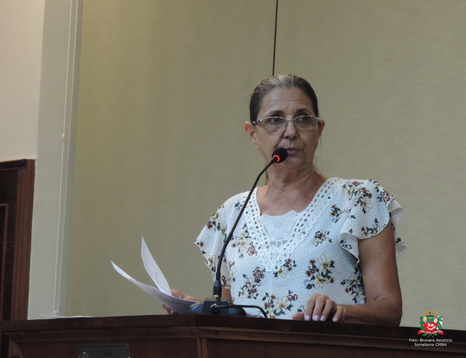 Vereadora Sônia Canato solicita Executivo Municipal poda de árvore da Praça Padre Paulo Lepick que está obstruindo semáforo