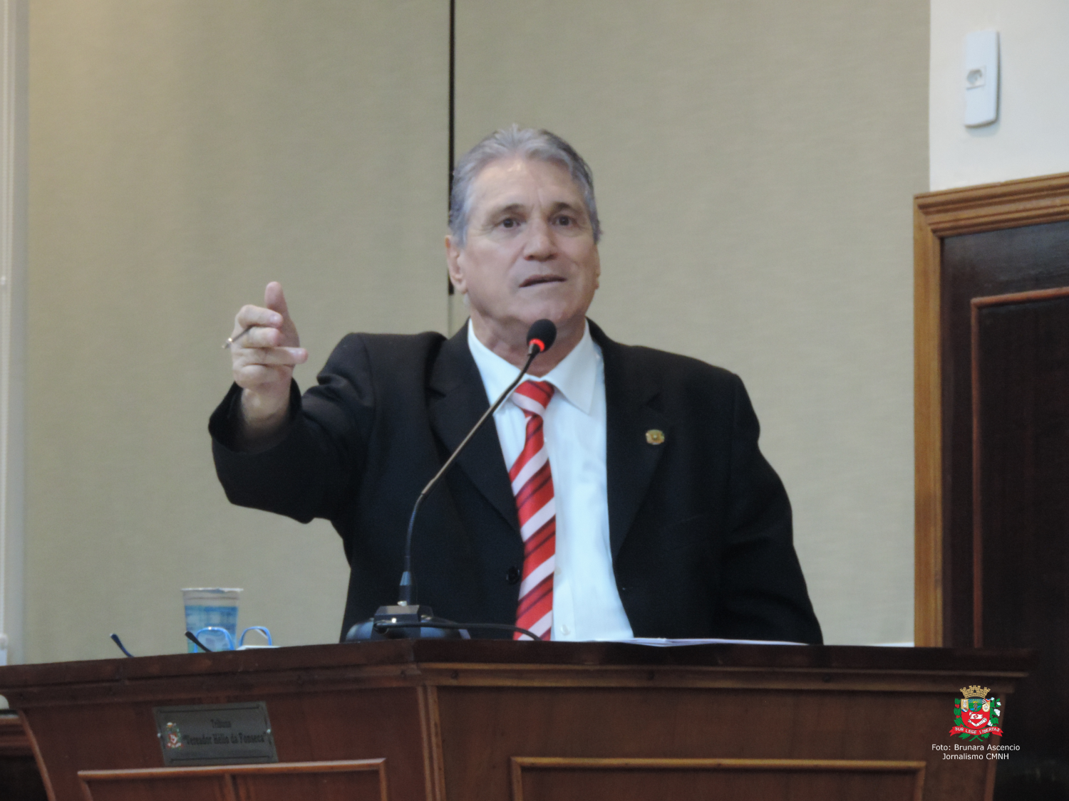 Vereador Nelsinho Luiz solicita ao Executivo Municipal substituição de lâmpadas queimadas na Avenida João Antônio Delsin