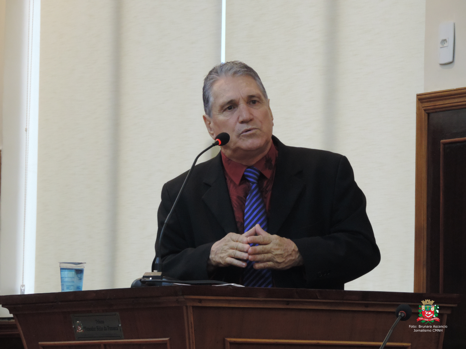 Vereador Nelsinho Luiz solicita ao Executivo Municipal providências com relação a árvore em via pública do Jardim Simpatia