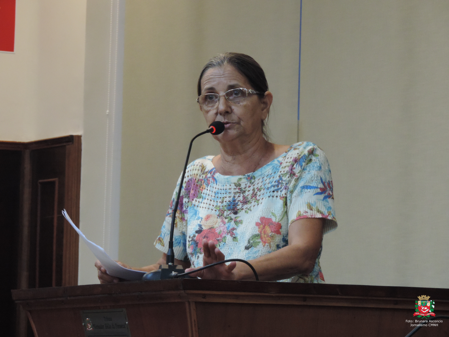 Vereadora Sônia Canato solicita ao Executivo Municipal retirada de árvores que se encontram no meio de via pública