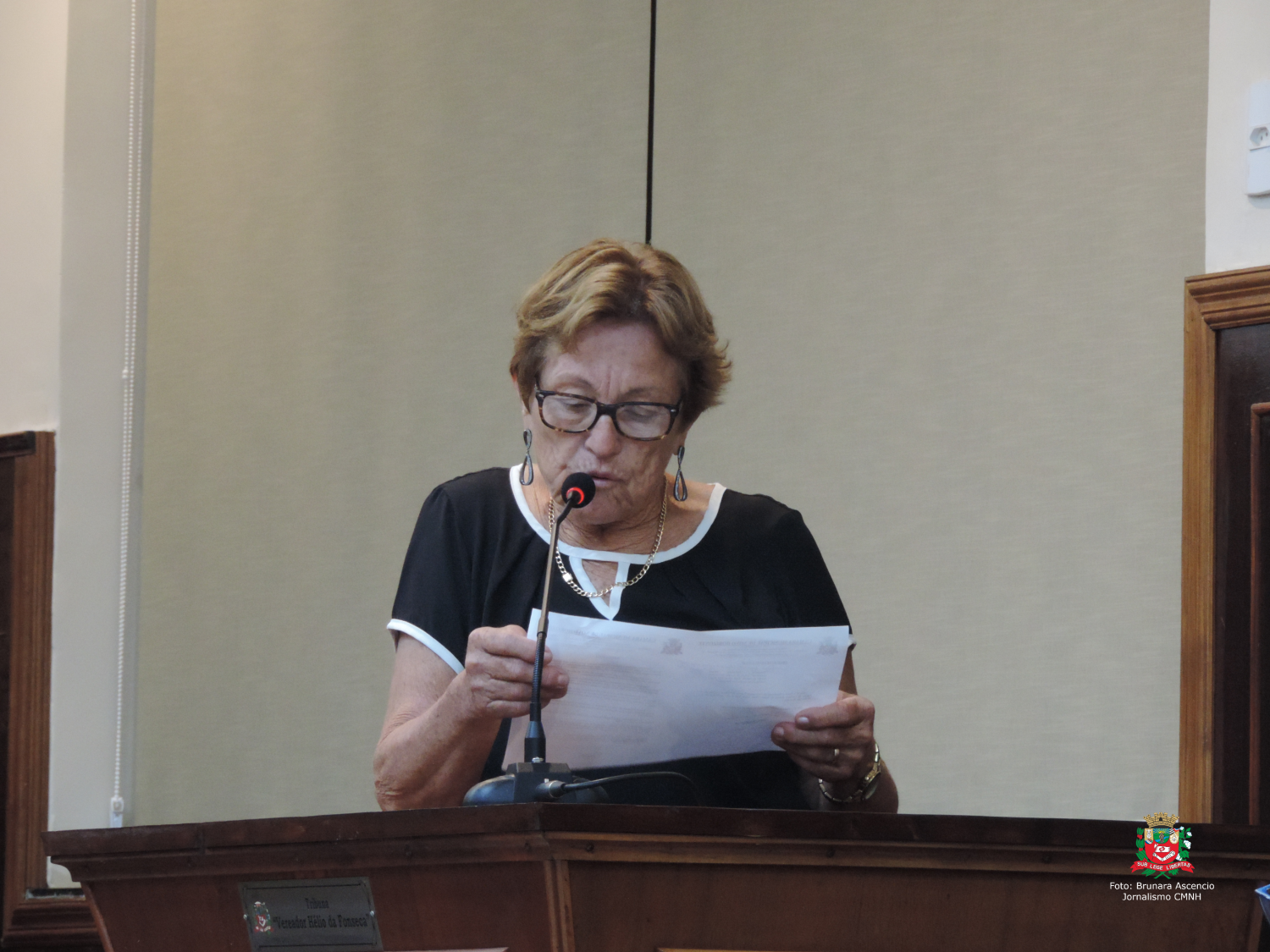 Vereadora Ivone Magri Ruiz concede Diploma "Construtor do Bem" à Cleusa Ramos Zerbini