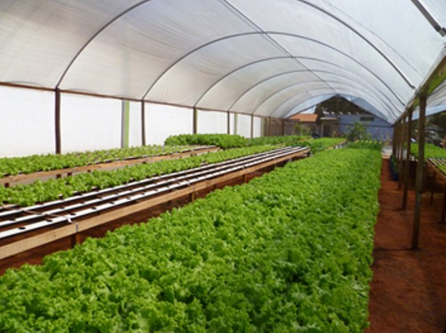 Câmara aprova crédito adicional para aquisição de estufa para o Projeto Hortalimento