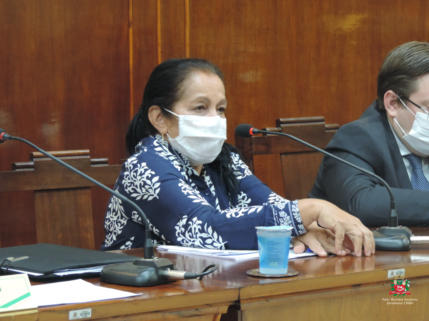 Câmara aprova em primeira votação proposta que denomina "Professora Olga Buainain Georges" o Chafariz localizado na Praça 9 de Julho