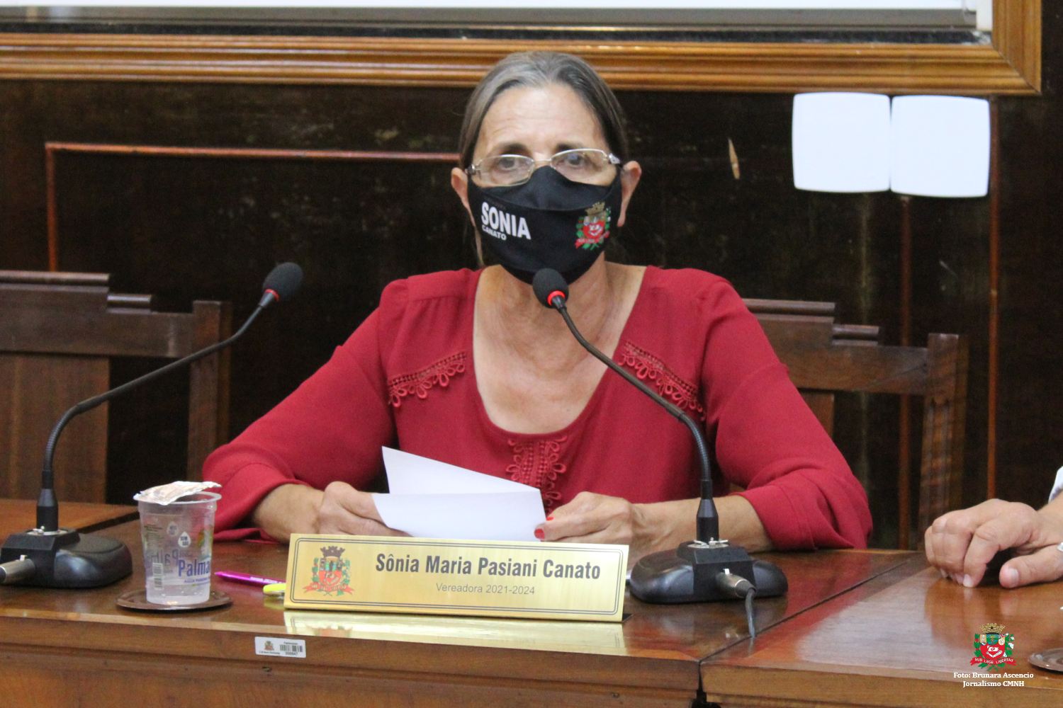 Confira as proposituras da Vereadora Sônia Canato na sessão ordinária de 17 de maio