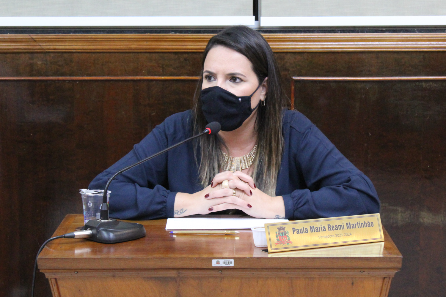 Confira as proposituras da Vereadora Paula Reami da Ong na sessão ordinária de 7 de junho