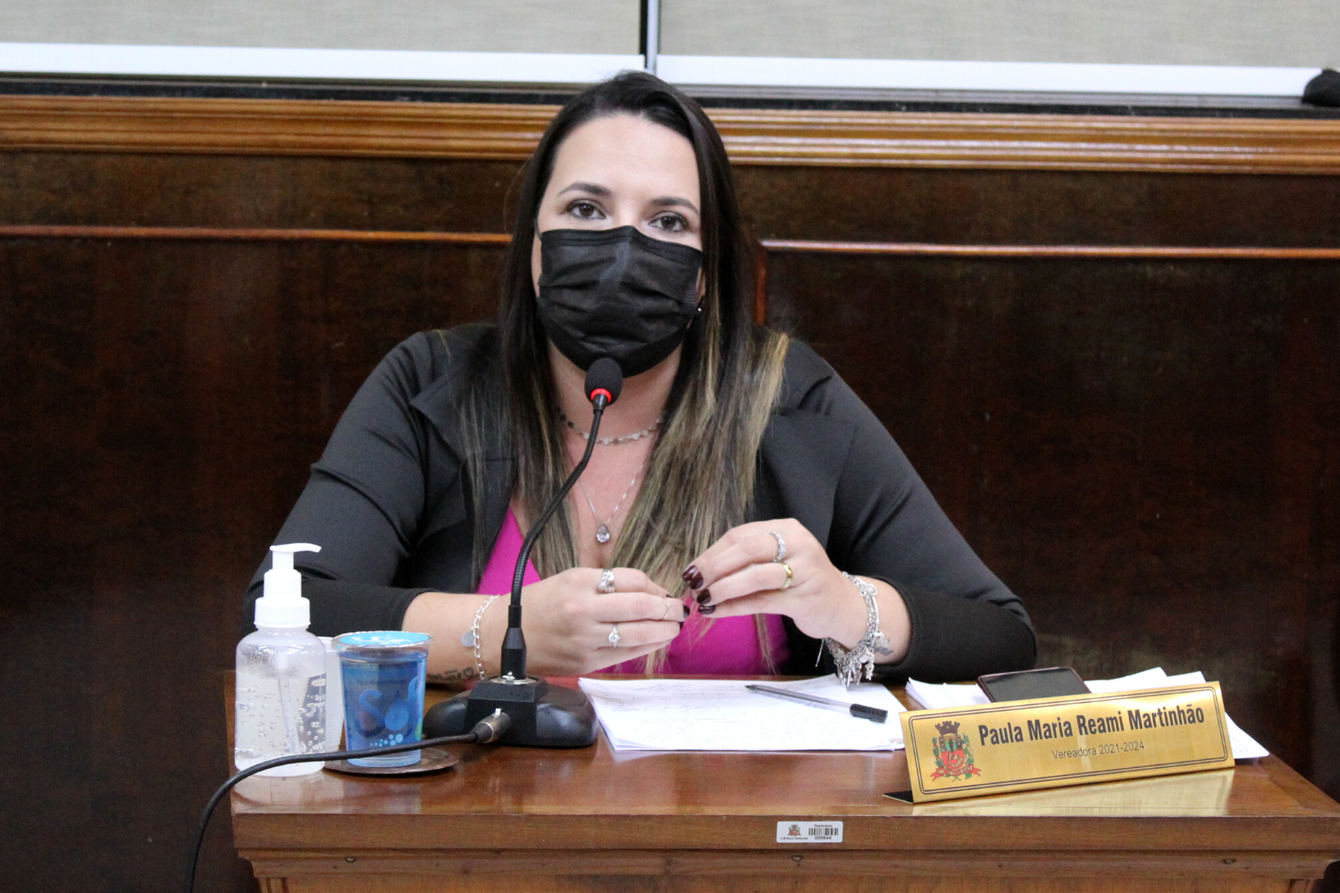 Confira as proposituras da Vereadora Paula Reami da Ong na sessão ordinária de 3 de novembro