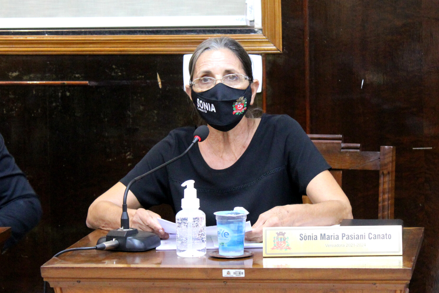 Confira as proposituras da Vereadora Sônia Canato na sessão ordinária de 16 de novembro