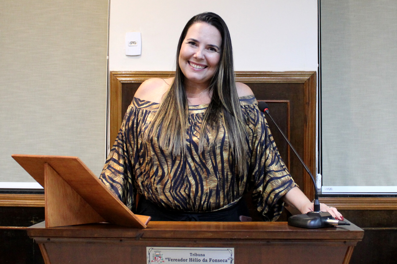 Confira as proposituras da Vereadora Paula Reami da Ong na sessão ordinária de 17 de outubro
