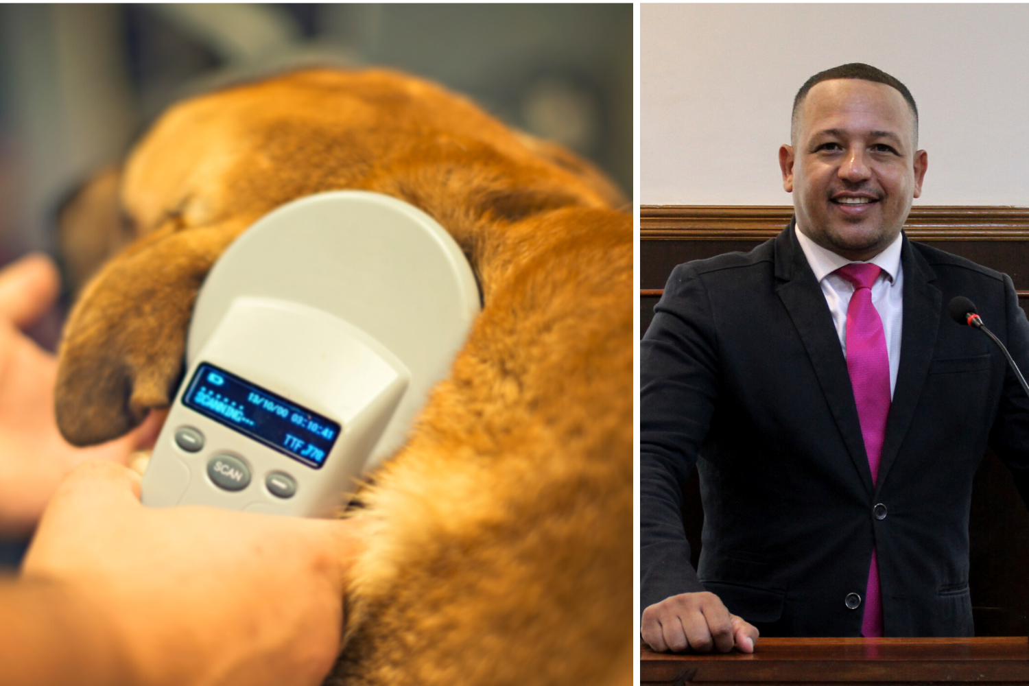 Projeto do Vereador Carlos Henrique BGO que estabelece normas para o cadastro através da chipagem de animais é aprovado em 2ª votação