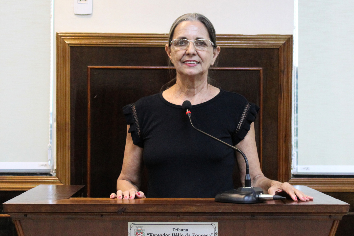 Confira as proposituras da Vereadora Sônia Canato na sessão ordinária de 17 de abril