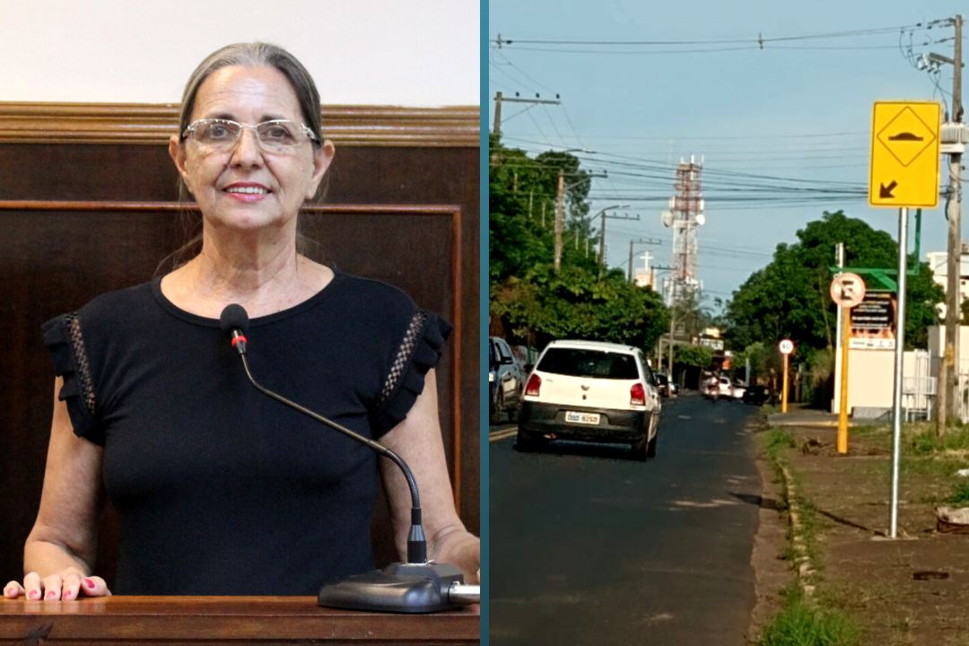 Vereadora Sônia Canato solicita ao Prefeito Fabiano Belentani instalação de redutor de velocidade em trecho da Avenida Cônego Alfredo Reith