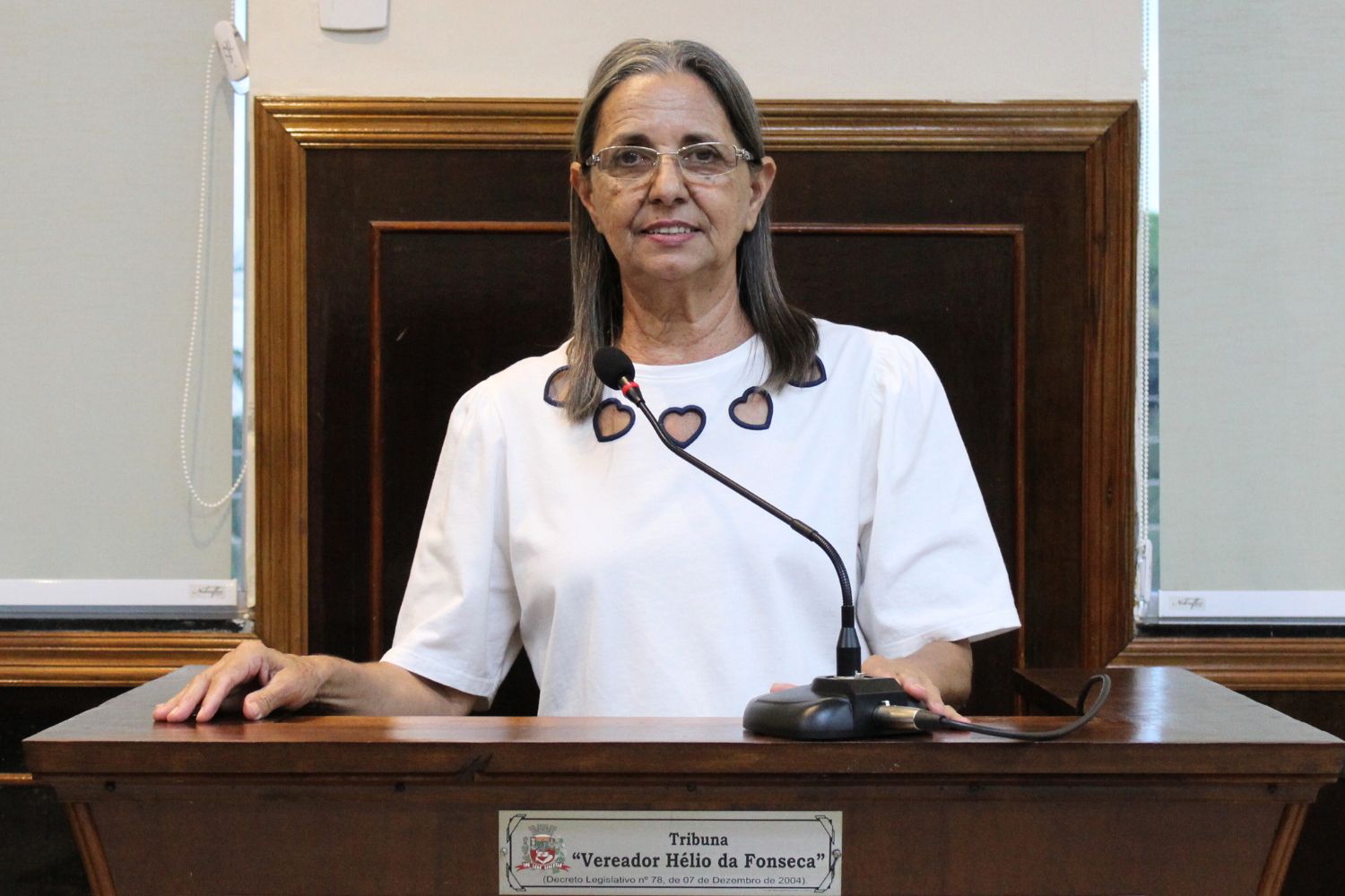 Confira as proposituras da Vereadora Sônia Canato na sessão ordinária de 2 de maio