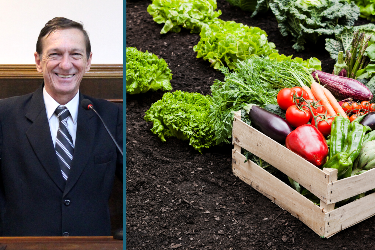 Vereador Vasquinho solicita ao Prefeito Fabiano Belentani possibilidade de dar mais incentivo à agricultura familiar