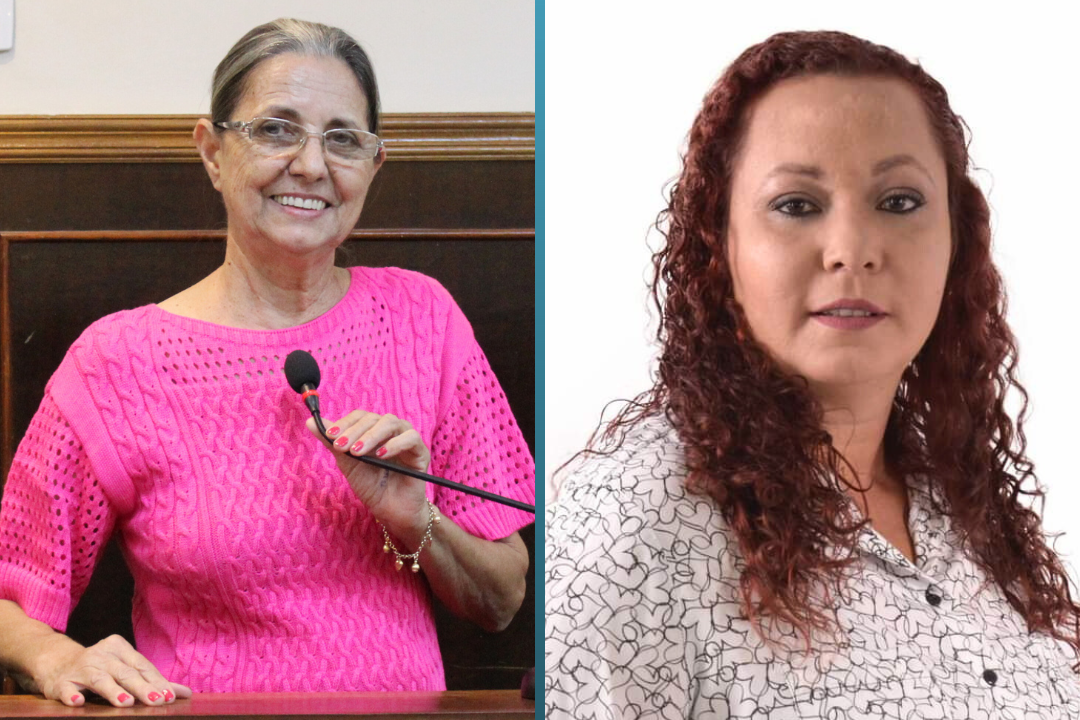 Vereadora Sônia Canato apresenta Moção de Aplausos a Rosana Calisto da Silva por trabalho voluntário desenvolvido junto à Avas