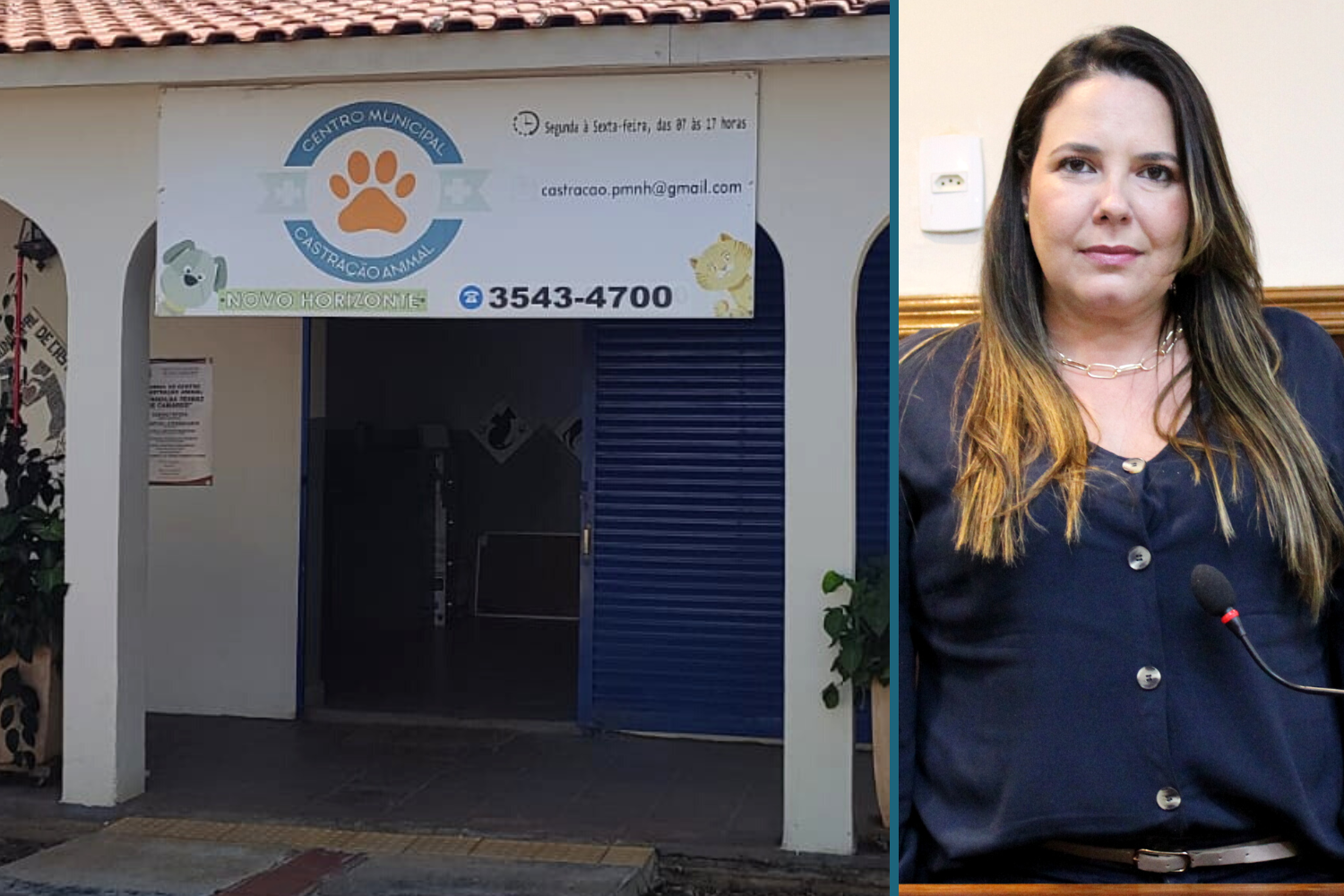 Vereadora Paula Reami solicita à Secretária Municipal de Saúde informações sobre animais castrados no Centro de Castração de Animais