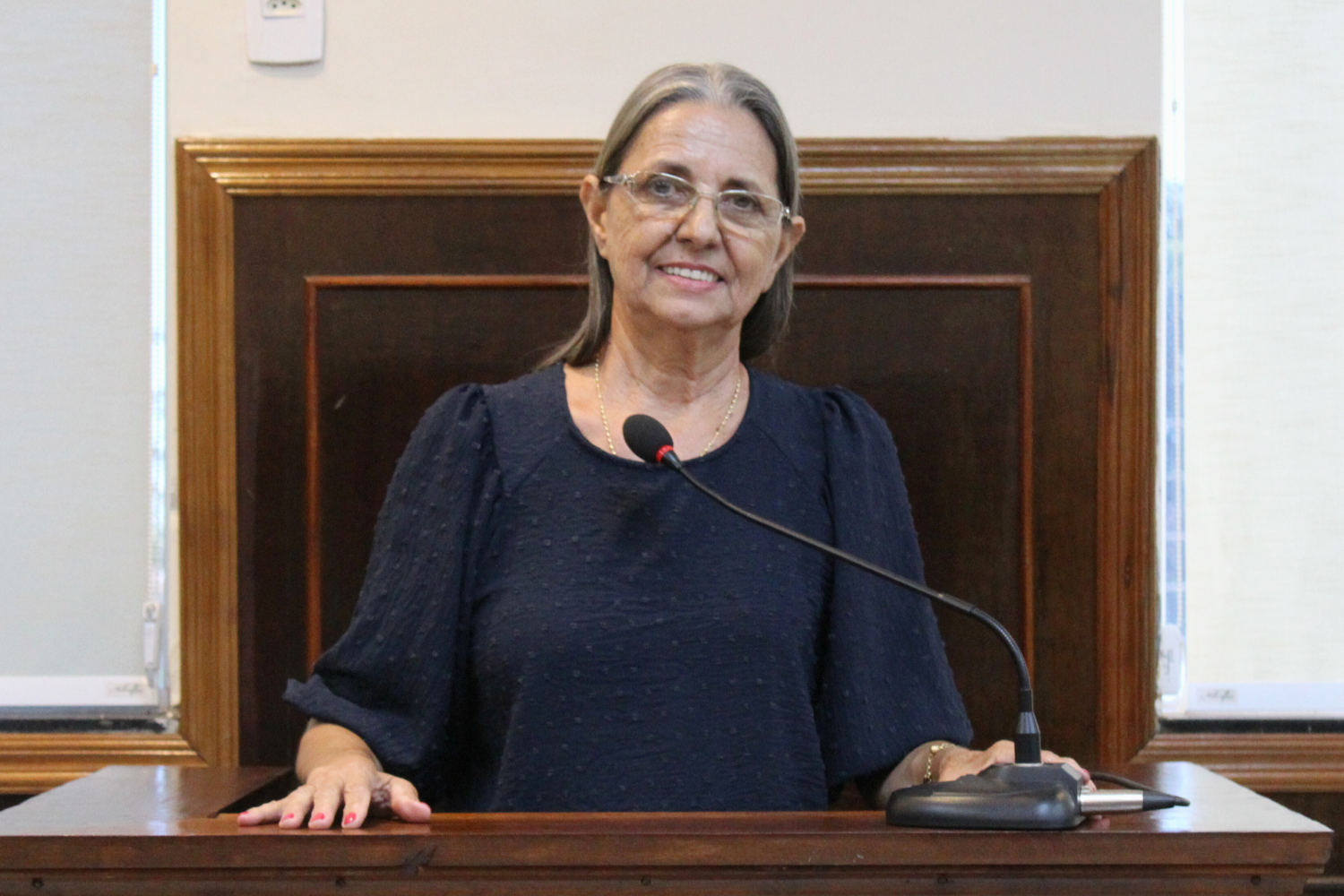 Vereadora Sônia Canato apresentou 17 Emendas Impositivas ao orçamento do Município para 2024 