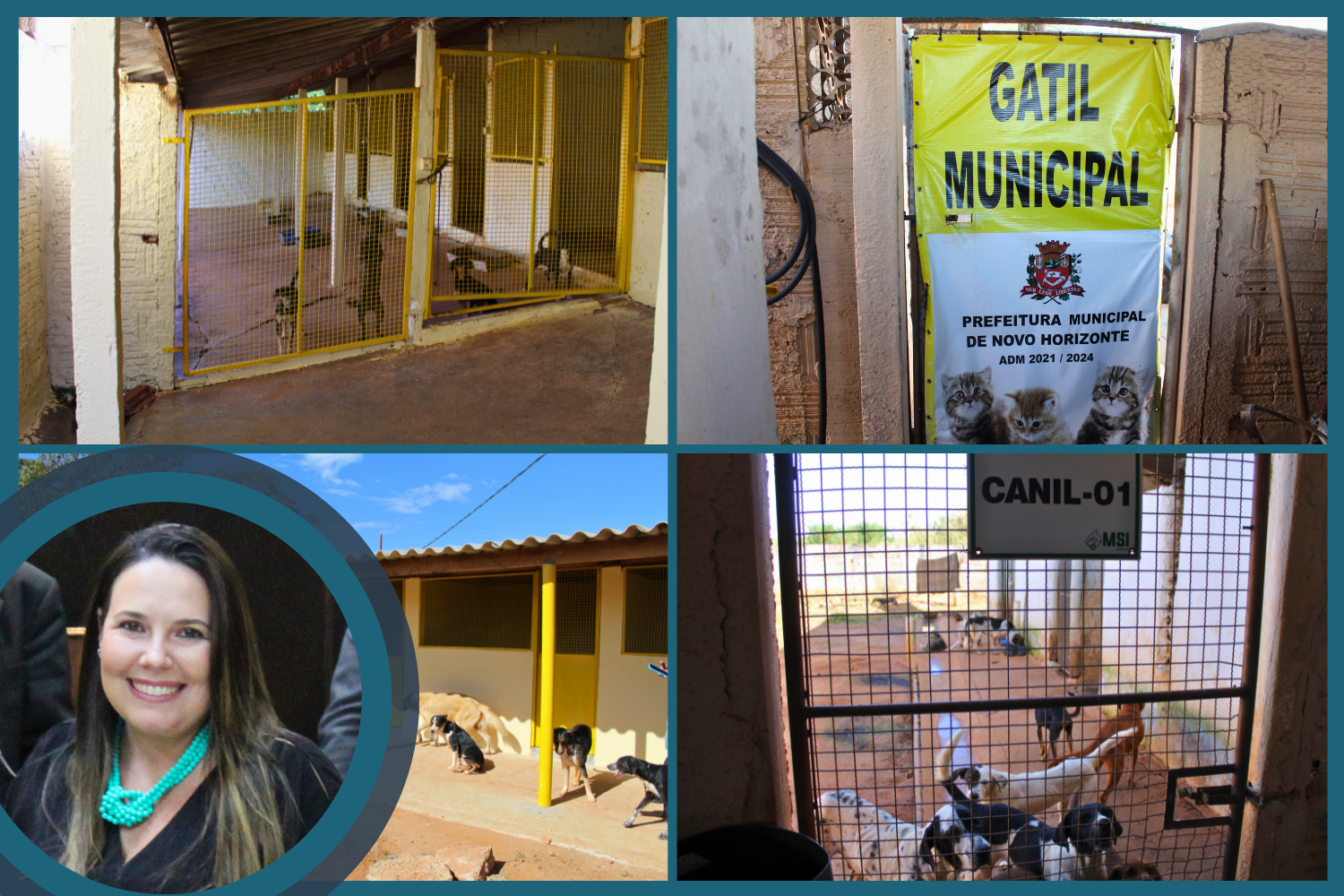 Projeto de Lei da Vereadora Paula Reami que regulamenta a adoção de animais domésticos realizadas pelo canil/gatil municipal é aprovado pela Câmara