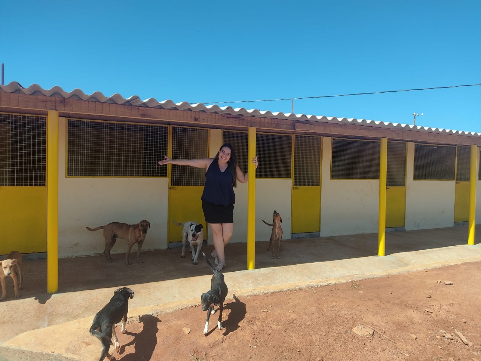 Emenda Impositiva da Vereadora Paula Reami viabilizou reforma e construção de baias no Canil Municipal