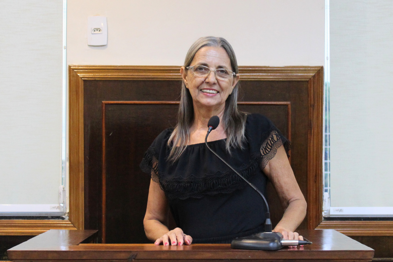 Vereadora Sônia Canato solicita ao Prefeito Fabiano Belentani reinstalação de passarela sobre o Córrego do Cardoso na Av. José Willibaldo de Freitas