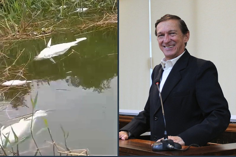 Vereador Vasquinho indaga ao Comitê da Bacia Hidrográfica do Tietê-Batalha quais medidas foram tomadas com relação à poluição e mortandade de peixes em alguns pontos no Ribeirão Três Pontes