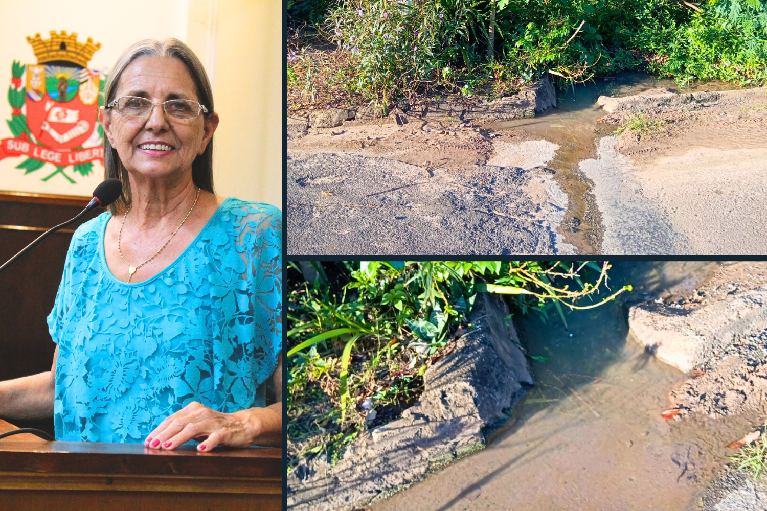 Vereadora Sônia Canato solicita ao Prefeito Fabiano Belentani limpeza de uma canaleta na Av. José Willibaldo de Freitas no Alto da Vila Patti