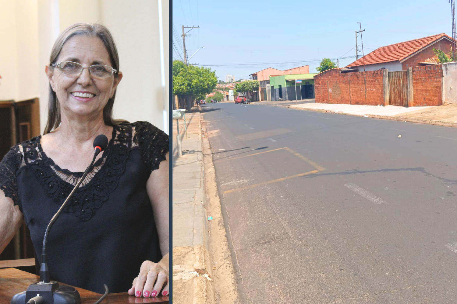 Vereadora Sônia Canato solicita ao Executivo Municipal instalação de redutor de velocidade na Rua Salomão Jacob no Jardim América 