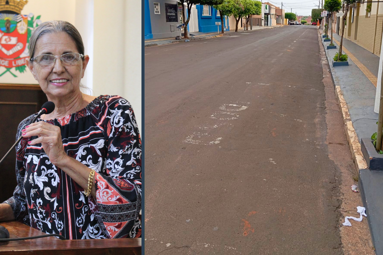  Vereadora Sônia Canato solicita ao Executivo Municipal pintura da vaga de estacionamento destinada a idosos na Rua Octaviano Marcondes