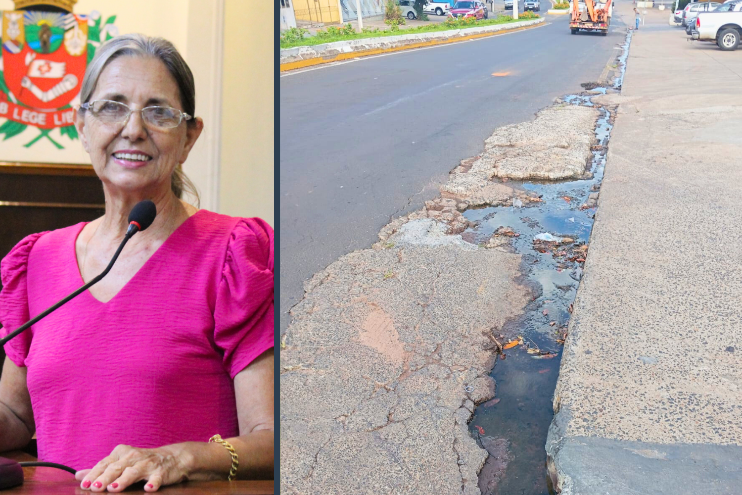 Vereadora Sônia Canato solicita ao Executivo Municipal serviço de tapa-buracos na Avenida da Saudade