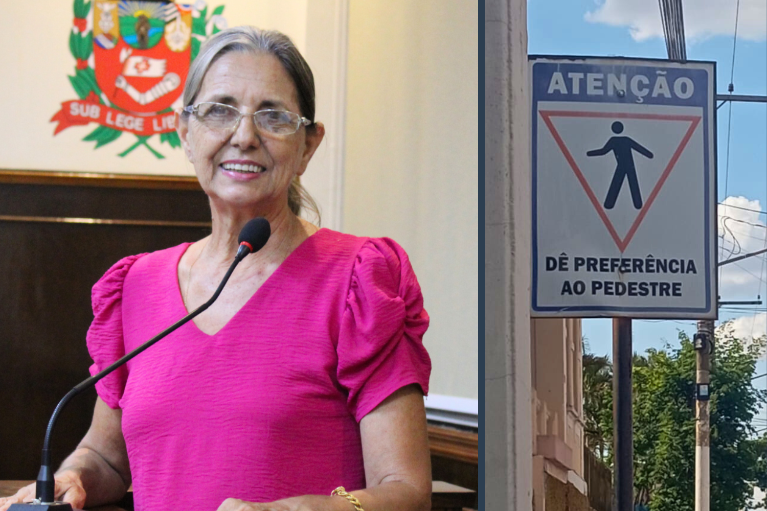 Vereadora Sônia Canato solicita ao Executivo Municipal instalação de placas "Atenção, dê preferência ao pedestre" junto das faixas de pedestres