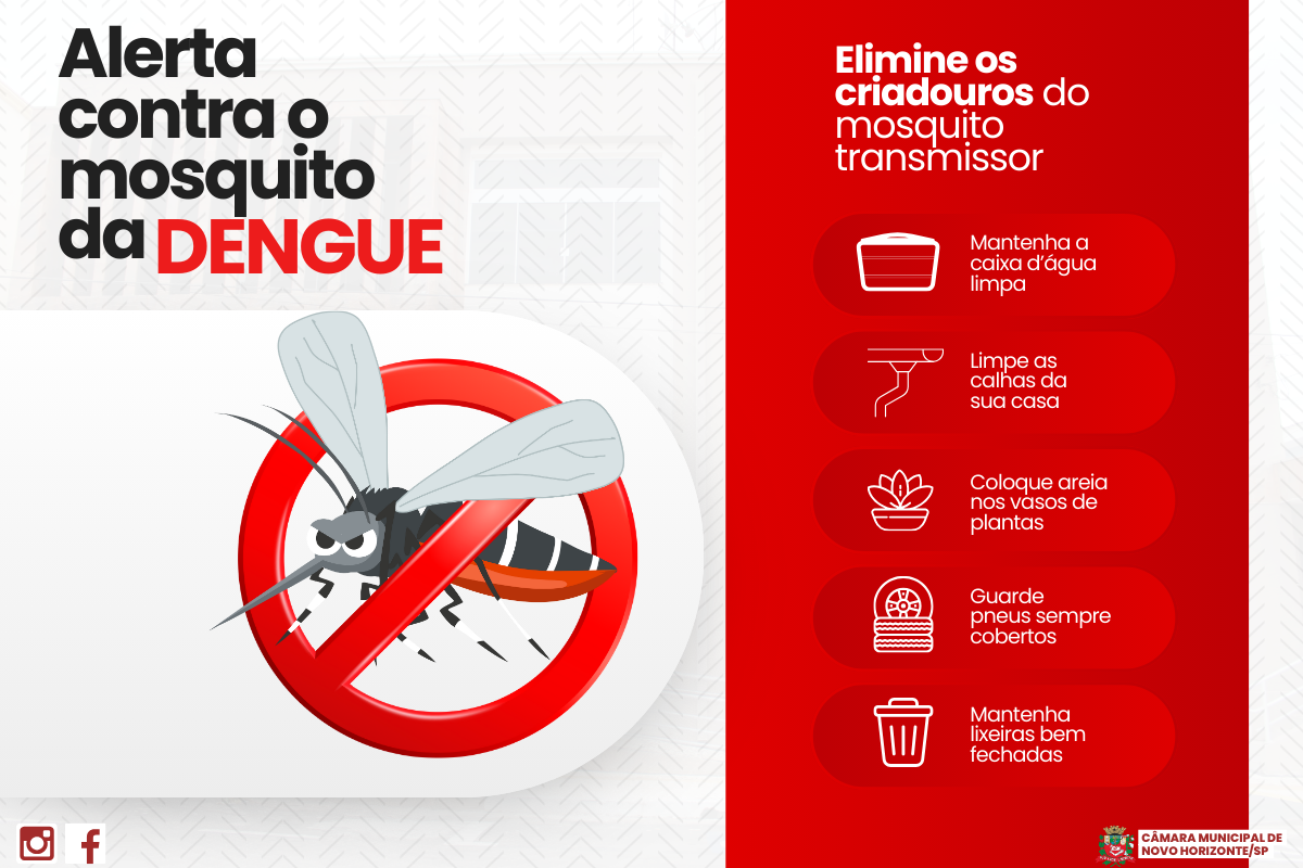 Dengue: elimine criadouros e fique atento aos sintomas