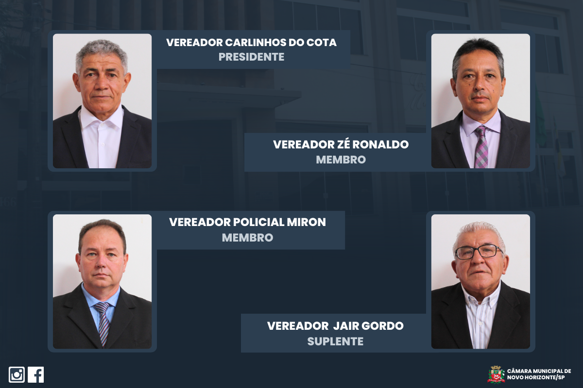 Confira a composição da Comissão dos Direitos da Mulher para o biênio 2025/2026