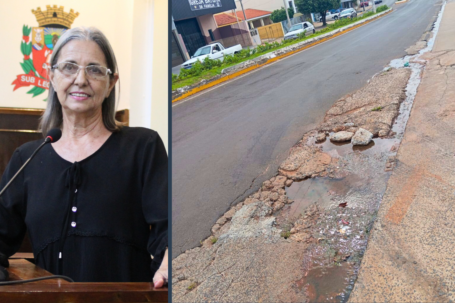 Vereadora Sônia Canato solicita ao Executivo Municipal serviço de tapa-buracos na Avenida da Saudade