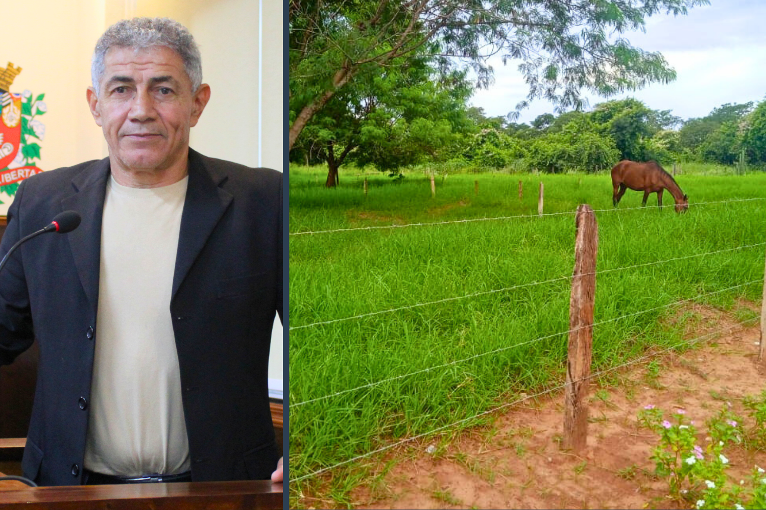 Vereador Carlinhos do Cota solicita ao Executivo Municipal fiscalização de área verde no bairro Viva Mais que está sendo utilizada para criação de cavalos