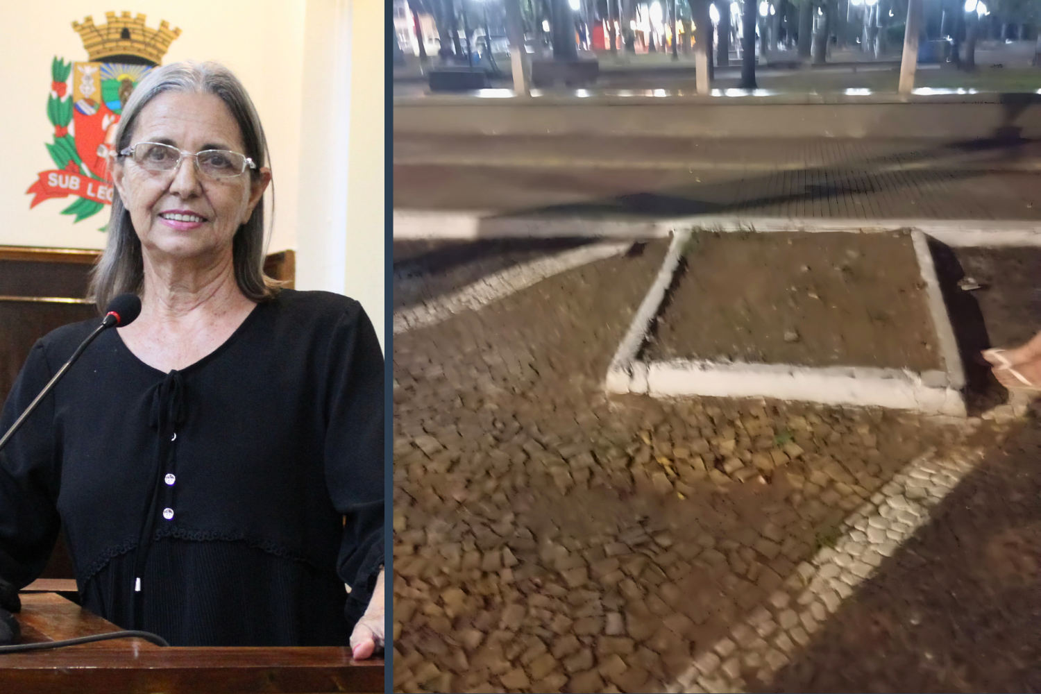 Vereadora Sônia Canato solicita ao Executivo Municipal remoção do canteiro situado entre duas vagas de estacionamento na Praça 9 de Julho
