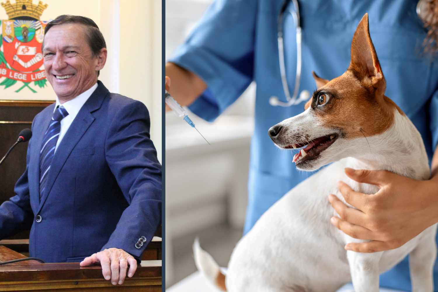 Vereador Vasquinho solicita ao Executivo Municipal que a vacina múltipla ou polivalente seja incluída como obrigatória para cães juntamente com a antirrábica