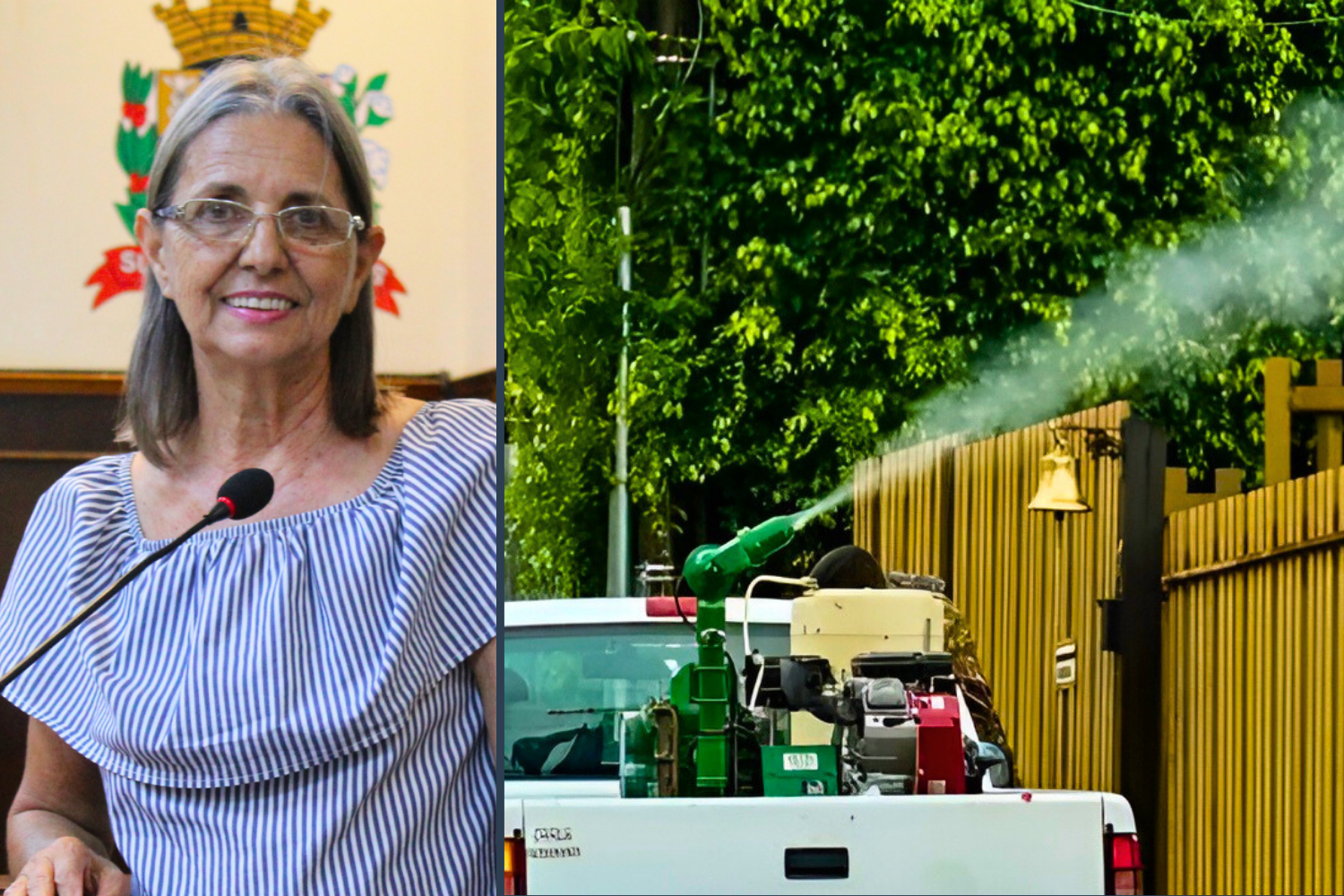 Vereadora Sônia Canato solicita à Secretaria Municipal de Saúde realização de dedetização com pulverizador para o combate à dengue em todos os bairros do Município