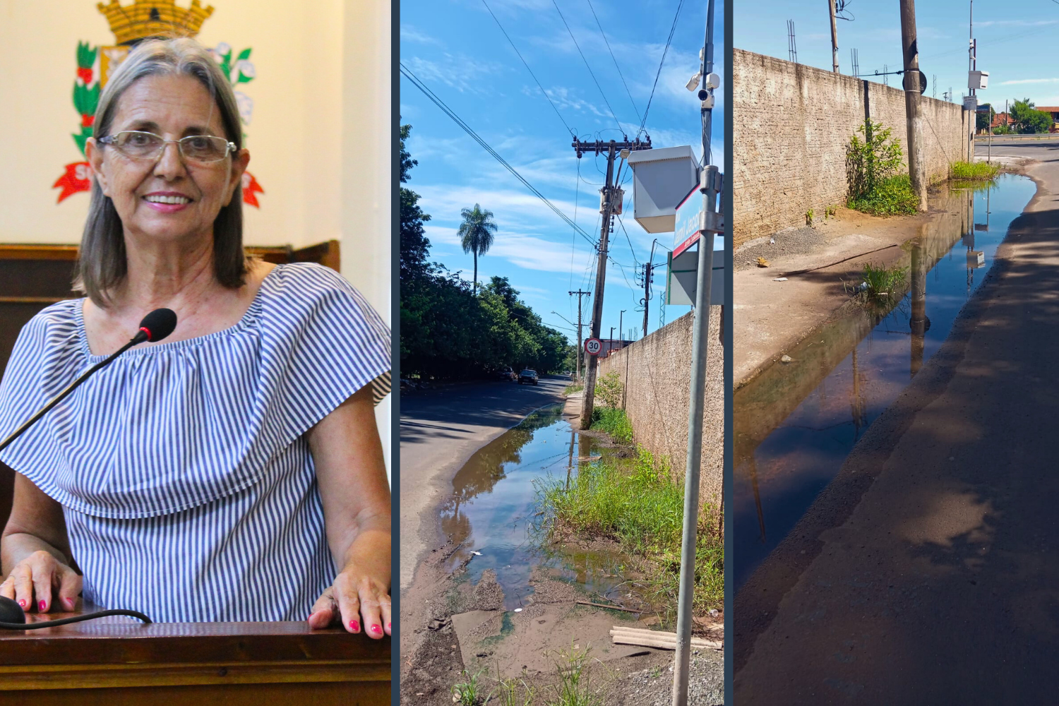 Vereadora Sônia Canato solicita ao Executivo Municipal providências sobre água parada na Rua Jamil Jacob no Jardim Esplanada