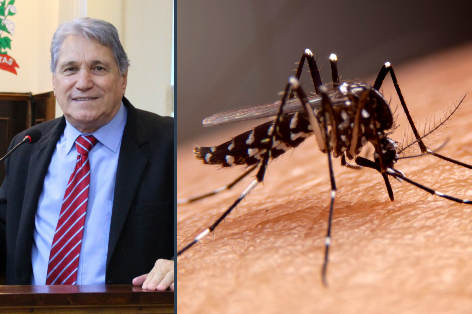 Vereador Nelsinho Luiz solicita à Secretaria Municipal de Saúde distribuição de kits de prevenção contra a dengue para pacientes de risco e os diagnosticados com a doença