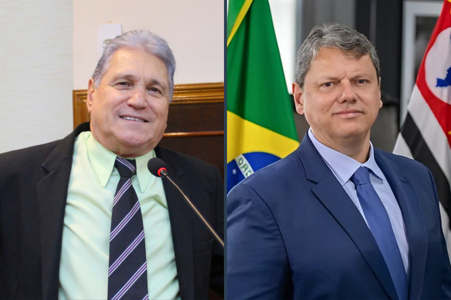 Vereador Nelsinho Luiz solicita ao Governador de São Paulo Tarcísio de Freitas implantação do Colégio Cívico-Militar no Município