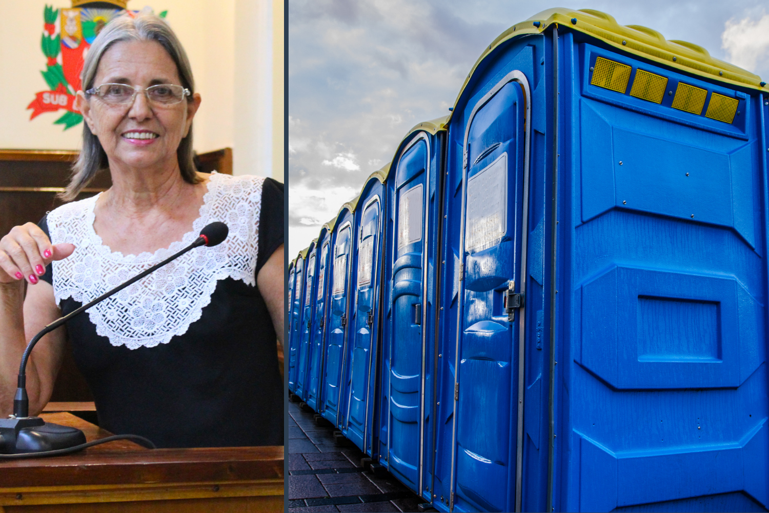 Vereadora Sônia Canato solicita ao Executivo Municipal banheiros químicos na Praça Belmira Custódio de Oliveira durante os dias de feira