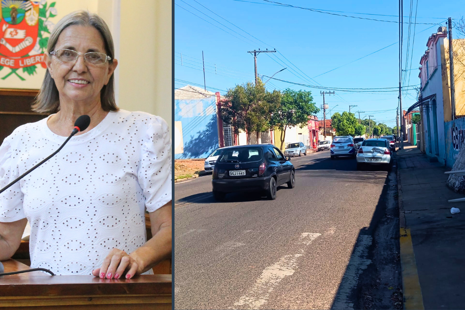 Vereadora Sônia Canato solicita ao Executivo Municipal instalação de redutor de velocidade na Av. Jornalista Paulo Falzetta na Vila Patti